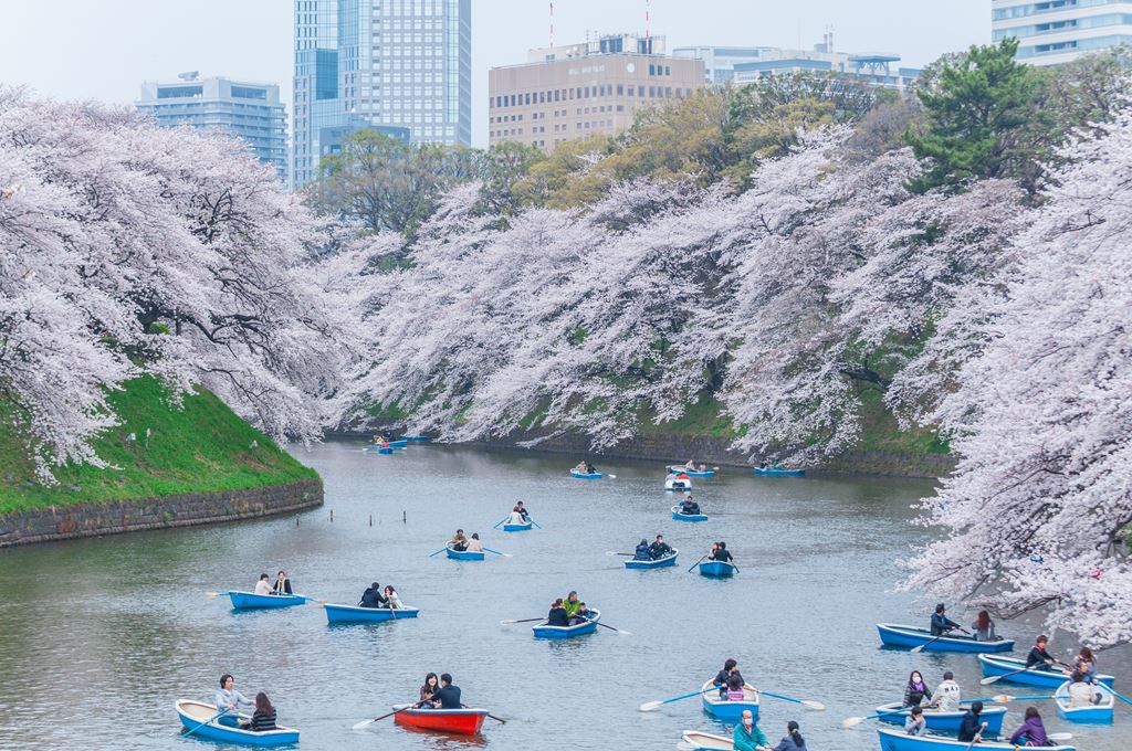Tokyo in April with beautiful cherry blossoms